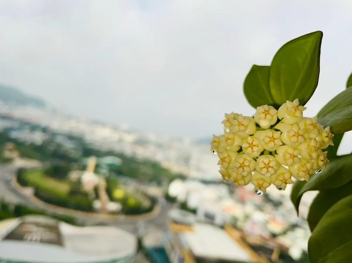 The Song Apartment -Vungtau City Vũng Tàu